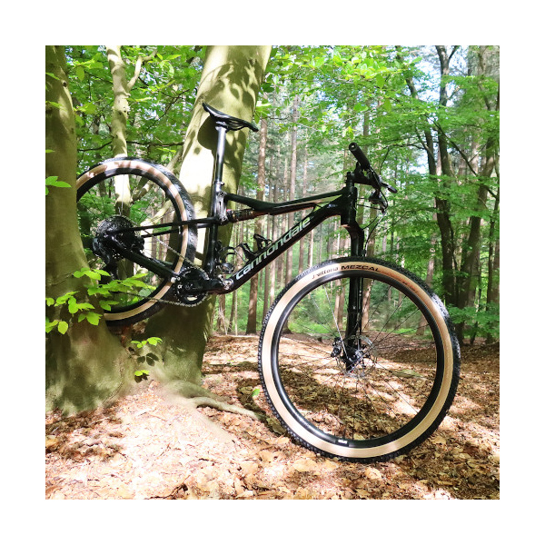 COPPIA RUOTE FFWD OUTLAW E-MTB, MTB 29" CARBONIO FRENO DISCO, SHIMANO HG